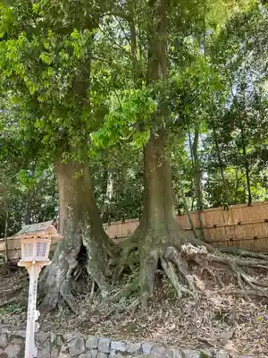 常陸國總社宮(茨城県)
