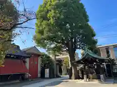 麻布氷川神社の建物その他