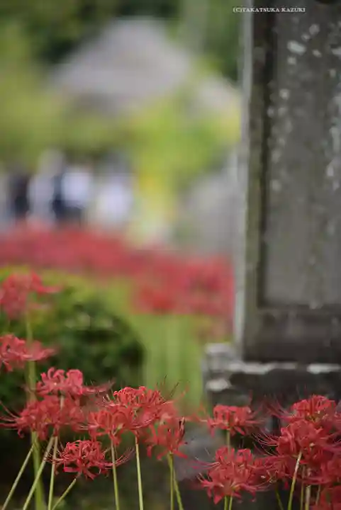 横浜 西方寺(神奈川県)