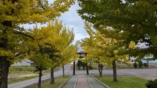 砺波神社の庭園