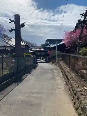 白山神社(東京都)