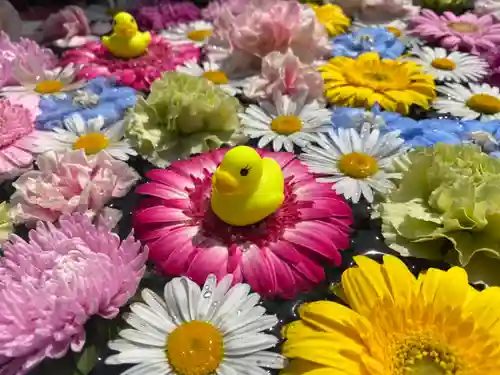 多聞寺の手水舎