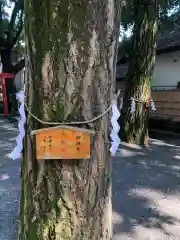 田無神社の自然