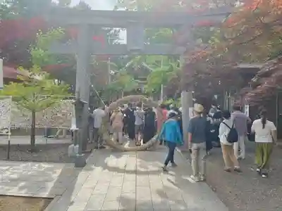 彌彦神社 (伊夜日子神社)の体験その他