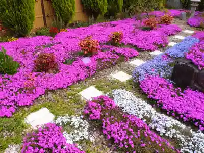 寿量山 速成寺(奈良県)