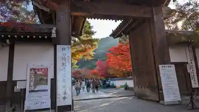 禅林寺(永観堂)(京都府)
