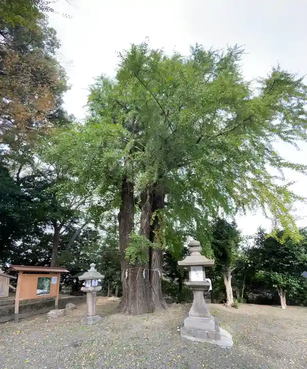 三栖神社のその他建物