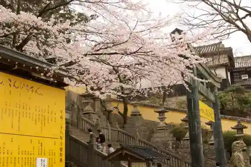 金刀比羅宮の建物その他