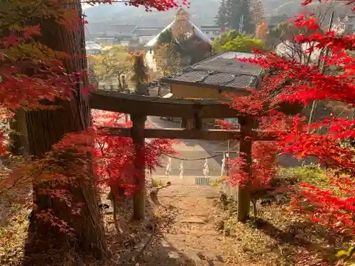 若宮八幡神社の鳥居