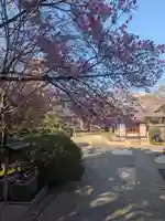 天王寺(東京都)