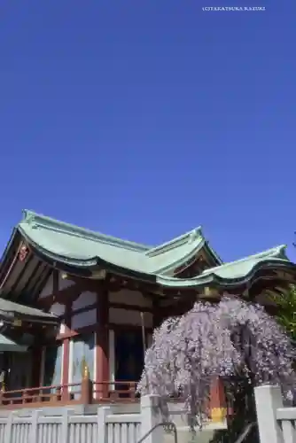 千住神社(東京都)