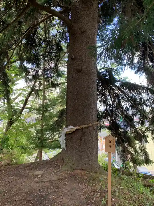 花巻神社の自然