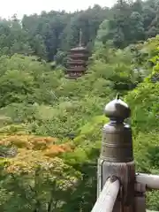 長谷寺(奈良県)