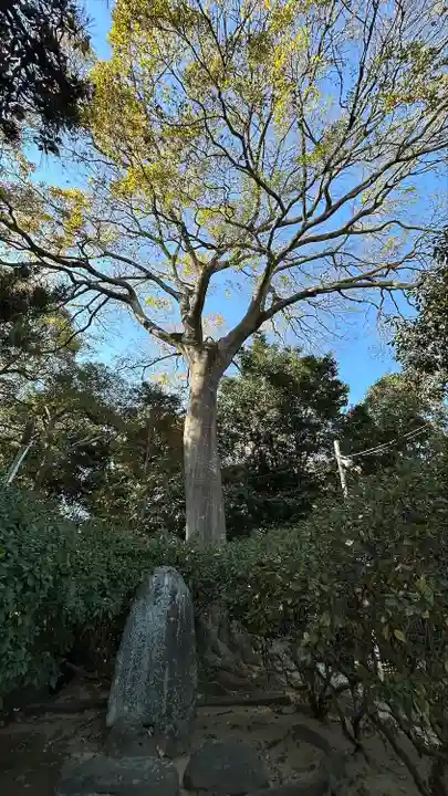 誉田八幡宮(大阪府)