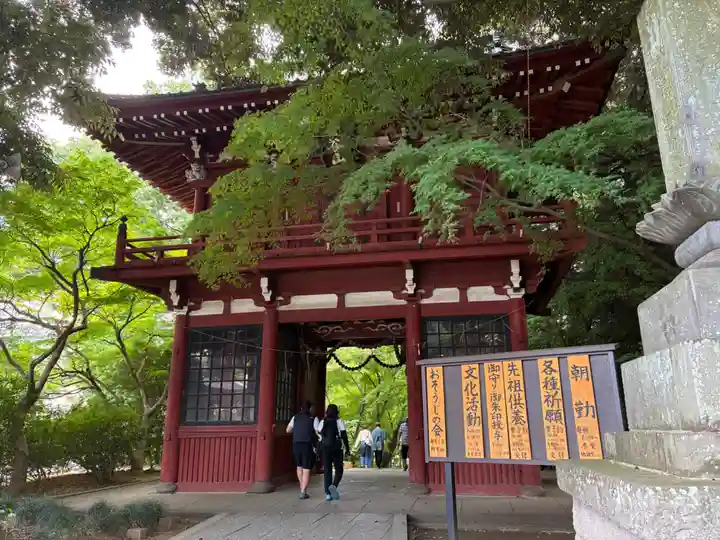 本土寺(千葉県)