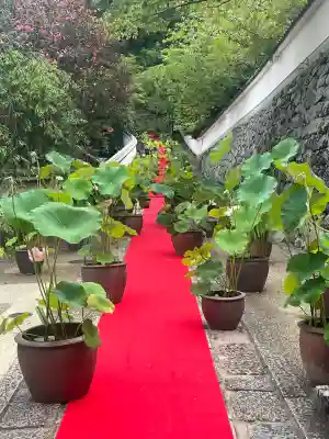 長谷寺(奈良県)