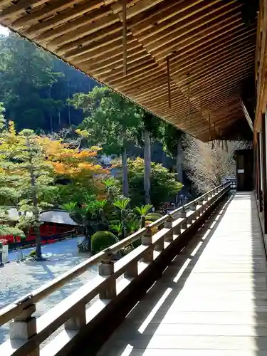 方廣寺の庭園