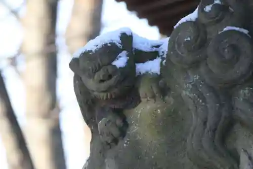 熊野福藏神社の狛犬