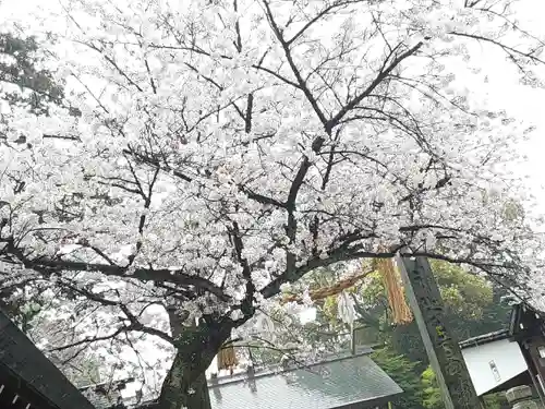 伊勢山皇大神宮(神奈川県)