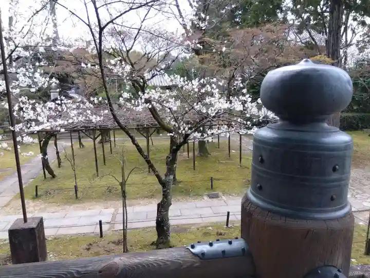 真正極楽寺(真如堂)(京都府)