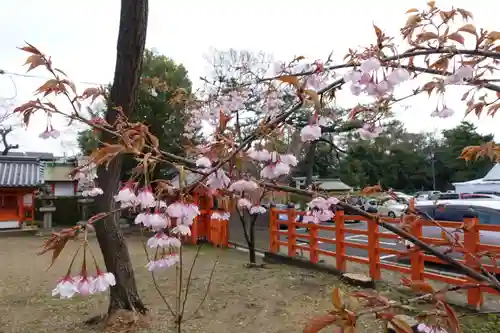 住吉大社の庭園