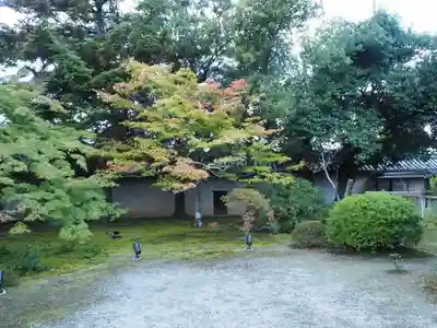 隨心院(随心院)(京都府)