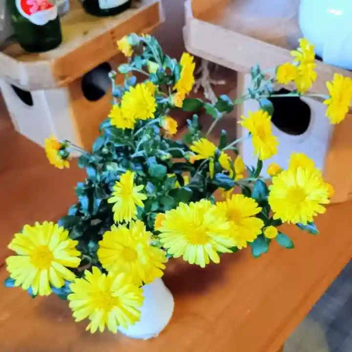 彌彦神社 (伊夜日子神社)の本殿・本堂