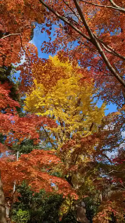 長岡天満宮(京都府)