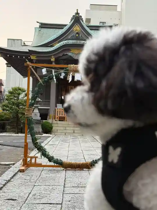 柏神社(千葉県)
