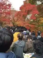 東福禅寺（東福寺）の体験その他