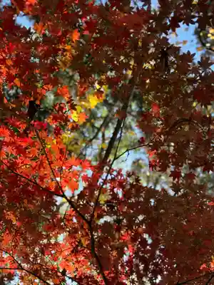 鹿島大神宮(福島県)