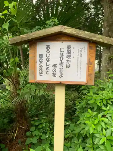 篠岡八幡大神社(埼玉県)
