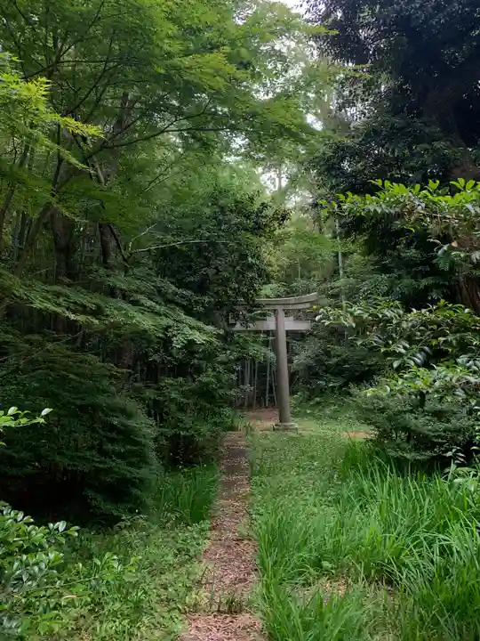 五十瀬神社(千葉県)
