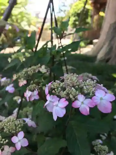 瀬戸神社の建物その他