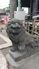 高円寺氷川神社の狛犬