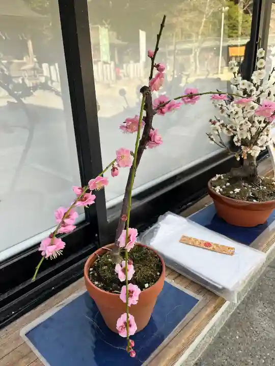 四條畷神社(大阪府)