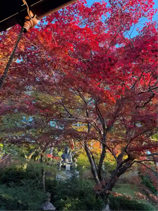 榮攝院(栄摂院)(京都府)