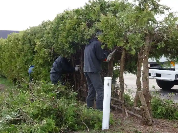 雨竜 専福寺の自然