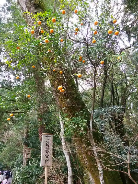 伊勢神宮内宮(皇大神宮)(三重県)