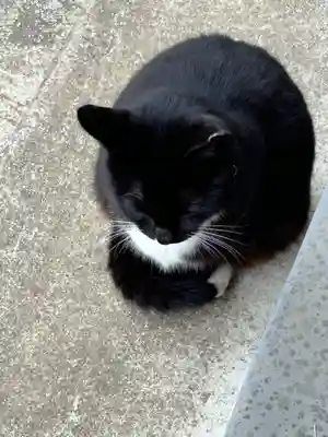 岡部春日神社～👹鬼門よけの🌺花咲く🌺やしろ～(福島県)
