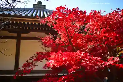 東漸寺(千葉県)