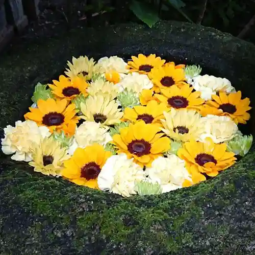 菅生神社の手水舎