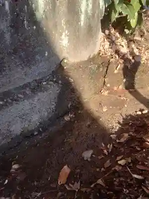 白鬚神社(埼玉県)