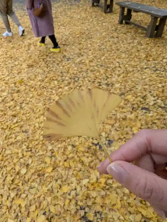 諏訪神社(北口本宮冨士浅間神社摂社)(山梨県)