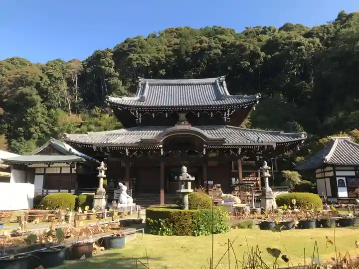 三室戸寺の本殿・本堂