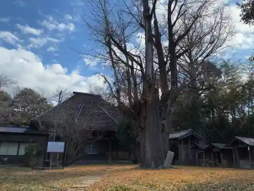 西福寺(千葉県)