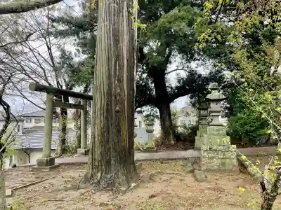 菅原神社の{uncategorized: "未分類", other: "その他", undefined: "問題あり", building: "その他建物", grave: "お墓", sacred_gate: "鳥居", guardian: "狛犬", statue: "像", buddha: "仏像", history: "歴史", nature: "自然", garden: "庭園", animal: "動物", pagoda: "塔", temizu: "手水舎", mountain_gate: "山門・神門", sanctuary: "本殿・本堂", subordinate: "末社・摂社", art: "芸術", scenery: "景色", jizo: "地蔵", ema: "絵馬", goshuin: "御朱印", omikuji: "おみくじ", items: "授与品その他", amulet: "お守り", goshuincho: "御朱印帳", eats: "食事", festival: "お祭り", votive_dance: "神楽", shichigosan: "七五三参", wedding: "結婚式", experience: "体験その他", initially: "初詣", around: "周辺", anti_infection: "感染症対策"}
