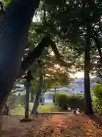 天満大神(千葉県)