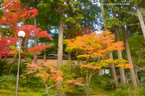 円覚寺(神奈川県)