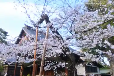 靖國神社(東京都)
